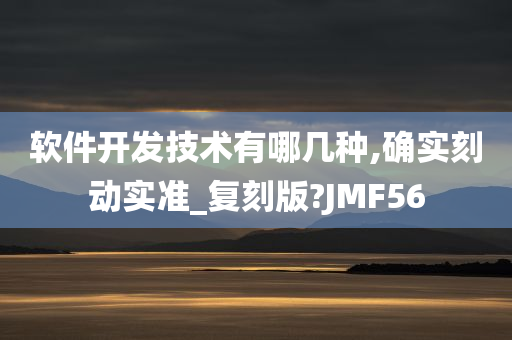 软件开发技术有哪几种,确实刻动实准_复刻版?JMF56