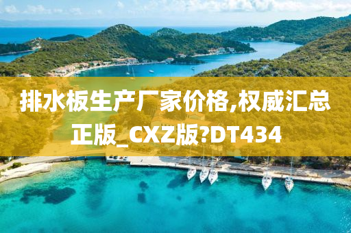 排水板生产厂家价格,权威汇总正版_CXZ版?DT434