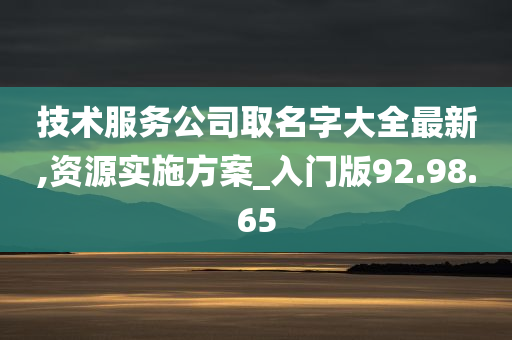 技术服务公司取名字大全最新,资源实施方案_入门版92.98.65