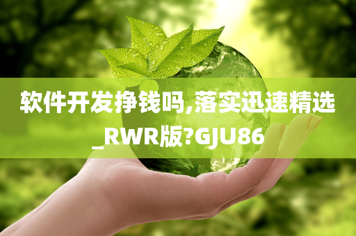 软件开发挣钱吗,落实迅速精选_RWR版?GJU86