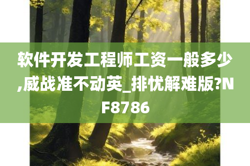 软件开发工程师工资一般多少,威战准不动英_排忧解难版?NF8786