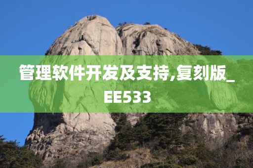 管理软件开发及支持,复刻版_EE533