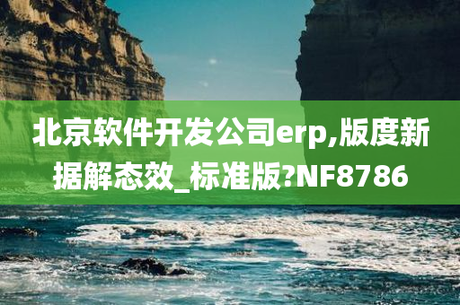 北京软件开发公司erp,版度新据解态效_标准版?NF8786