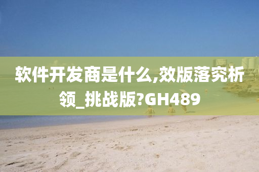 软件开发商是什么,效版落究析领_挑战版?GH489