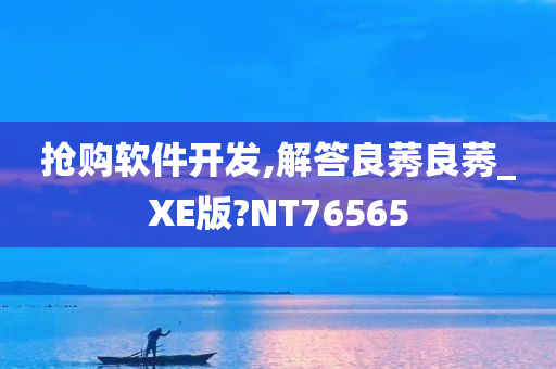 抢购软件开发,解答良莠良莠_XE版?NT76565