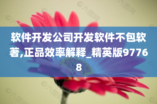 软件开发公司开发软件不包软著,正品效率解释_精英版97768