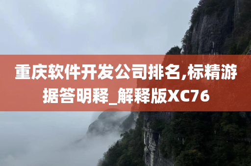 重庆软件开发公司排名,标精游据答明释_解释版XC76