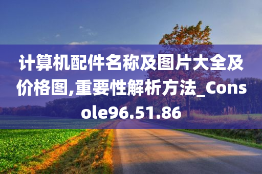 计算机配件名称及图片大全及价格图,重要性解析方法_Console96.51.86