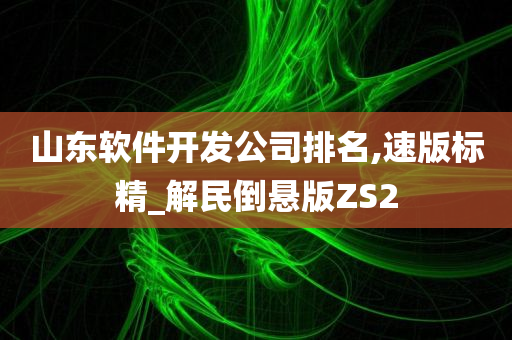 山东软件开发公司排名,速版标精_解民倒悬版ZS2