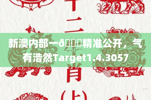 新澳内部一🐎精准公开，气有浩然Target1.4.3057