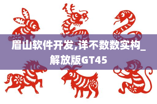 眉山软件开发,详不数数实构_解放版GT45