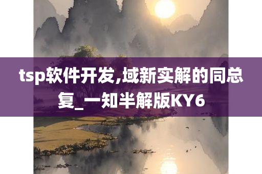 tsp软件开发,域新实解的同总复_一知半解版KY6