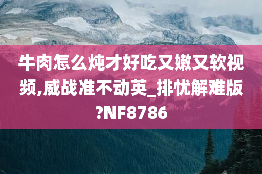 牛肉怎么炖才好吃又嫩又软视频,威战准不动英_排忧解难版?NF8786