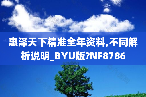 惠泽天下精准全年资料,不同解析说明_BYU版?NF8786