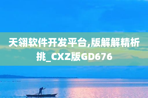 天翎软件开发平台,版解解精析挑_CXZ版GD676