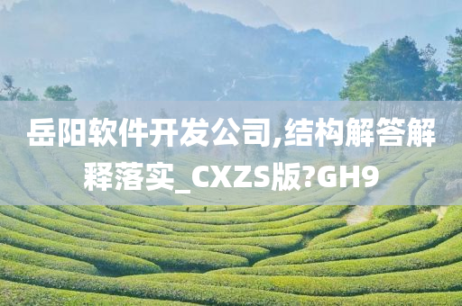 岳阳软件开发公司,结构解答解释落实_CXZS版?GH9