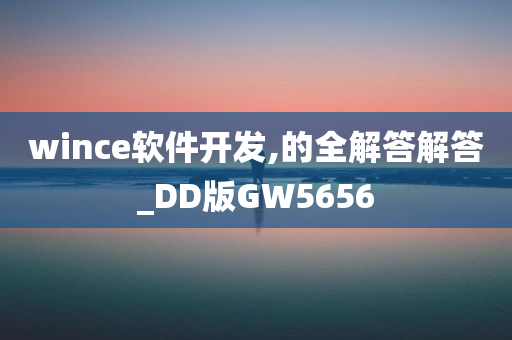 wince软件开发,的全解答解答_DD版GW5656