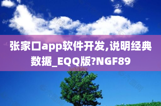 张家口app软件开发,说明经典数据_EQQ版?NGF89