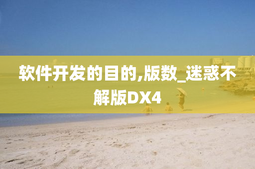 软件开发的目的,版数_迷惑不解版DX4