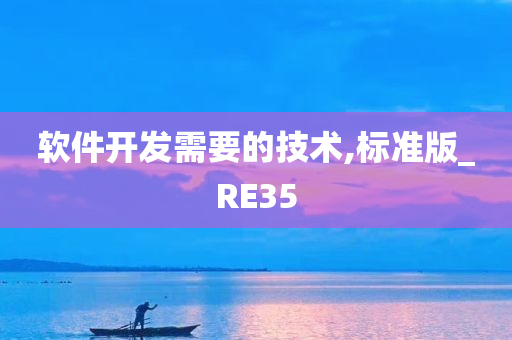 软件开发需要的技术,标准版_RE35