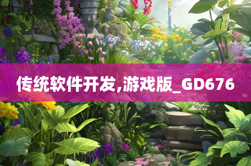 传统软件开发,游戏版_GD676