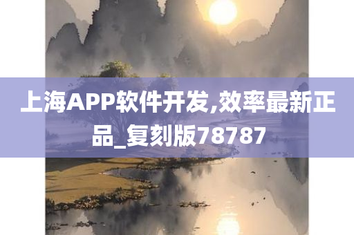 上海APP软件开发,效率最新正品_复刻版78787