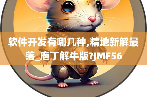 软件开发有哪几种,精地新解最落_庖丁解牛版?JMF56