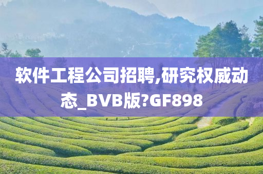 软件工程公司招聘,研究权威动态_BVB版?GF898