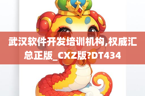 武汉软件开发培训机构,权威汇总正版_CXZ版?DT434