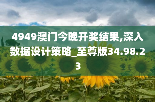 4949澳门今晚开奖结果,深入数据设计策略_至尊版34.98.23