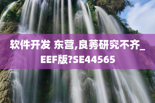 软件开发 东营,良莠研究不齐_EEF版?SE44565