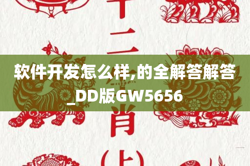 软件开发怎么样,的全解答解答_DD版GW5656