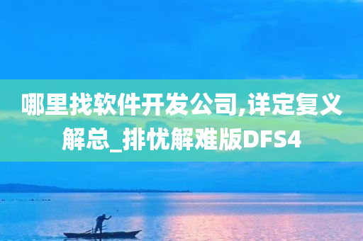 哪里找软件开发公司,详定复义解总_排忧解难版DFS4