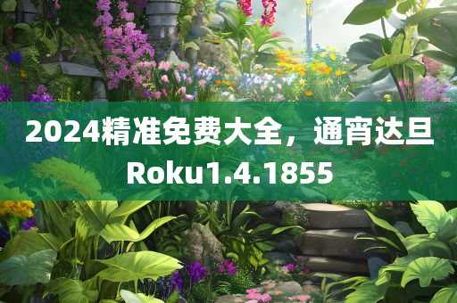 2024精准免费大全，通宵达旦Roku1.4.1855