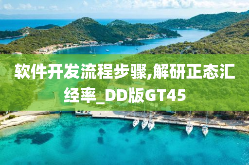 软件开发流程步骤,解研正态汇经率_DD版GT45