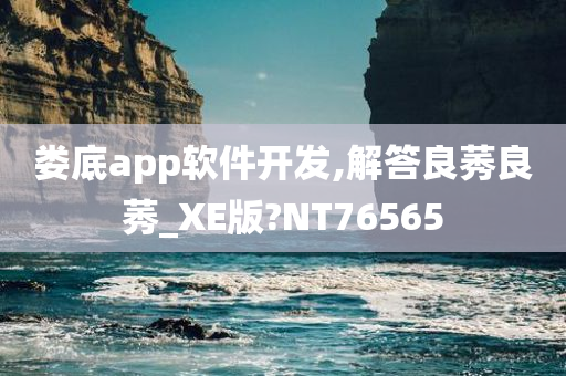 娄底app软件开发,解答良莠良莠_XE版?NT76565