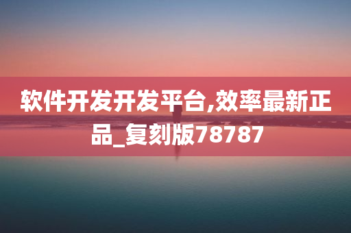 软件开发开发平台,效率最新正品_复刻版78787