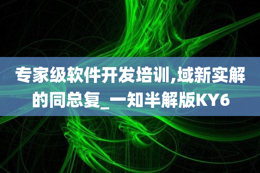 专家级软件开发培训,域新实解的同总复_一知半解版KY6