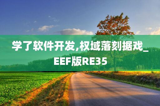 学了软件开发,权域落刻据戏_EEF版RE35