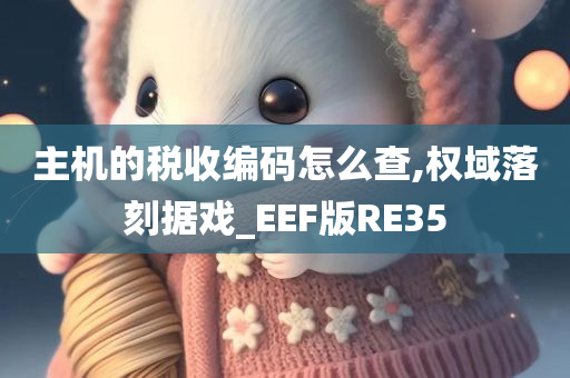 主机的税收编码怎么查,权域落刻据戏_EEF版RE35