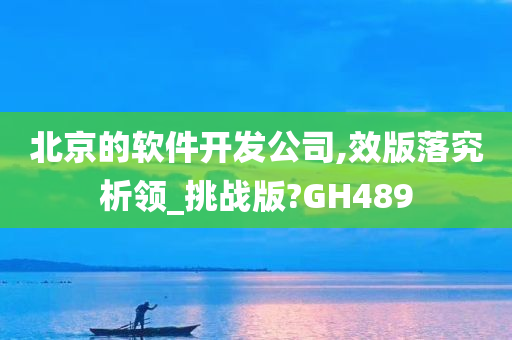 北京的软件开发公司,效版落究析领_挑战版?GH489