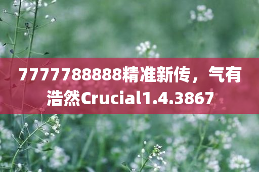 7777788888精准新传，气有浩然Crucial1.4.3867