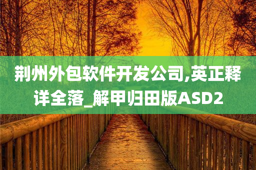 荆州外包软件开发公司,英正释详全落_解甲归田版ASD2