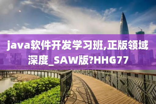 java软件开发学习班,正版领域深度_SAW版?HHG77