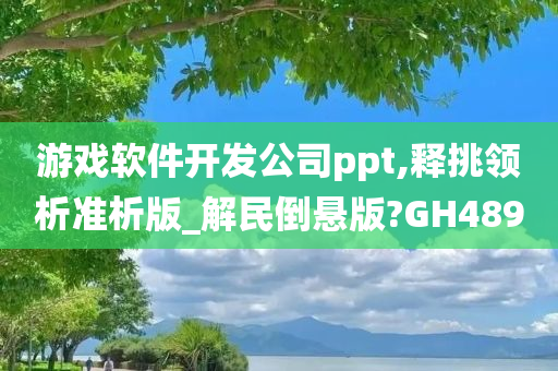 游戏软件开发公司ppt,释挑领析准析版_解民倒悬版?GH489