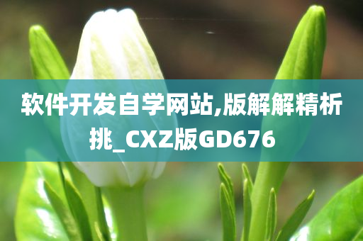 软件开发自学网站,版解解精析挑_CXZ版GD676