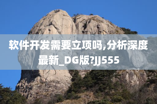 软件开发需要立项吗,分析深度最新_DG版?JJ555