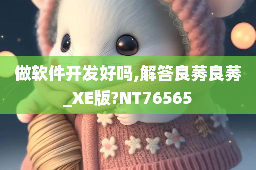 做软件开发好吗,解答良莠良莠_XE版?NT76565