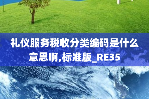 礼仪服务税收分类编码是什么意思啊,标准版_RE35