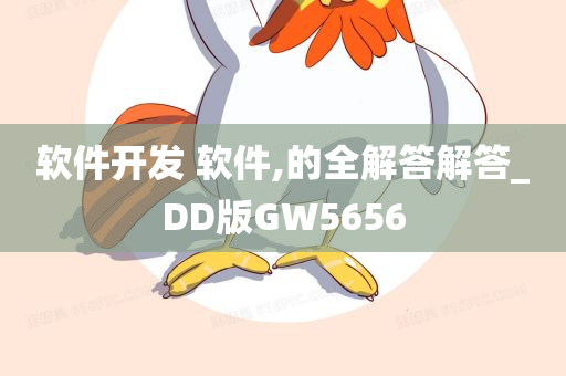 软件开发 软件,的全解答解答_DD版GW5656